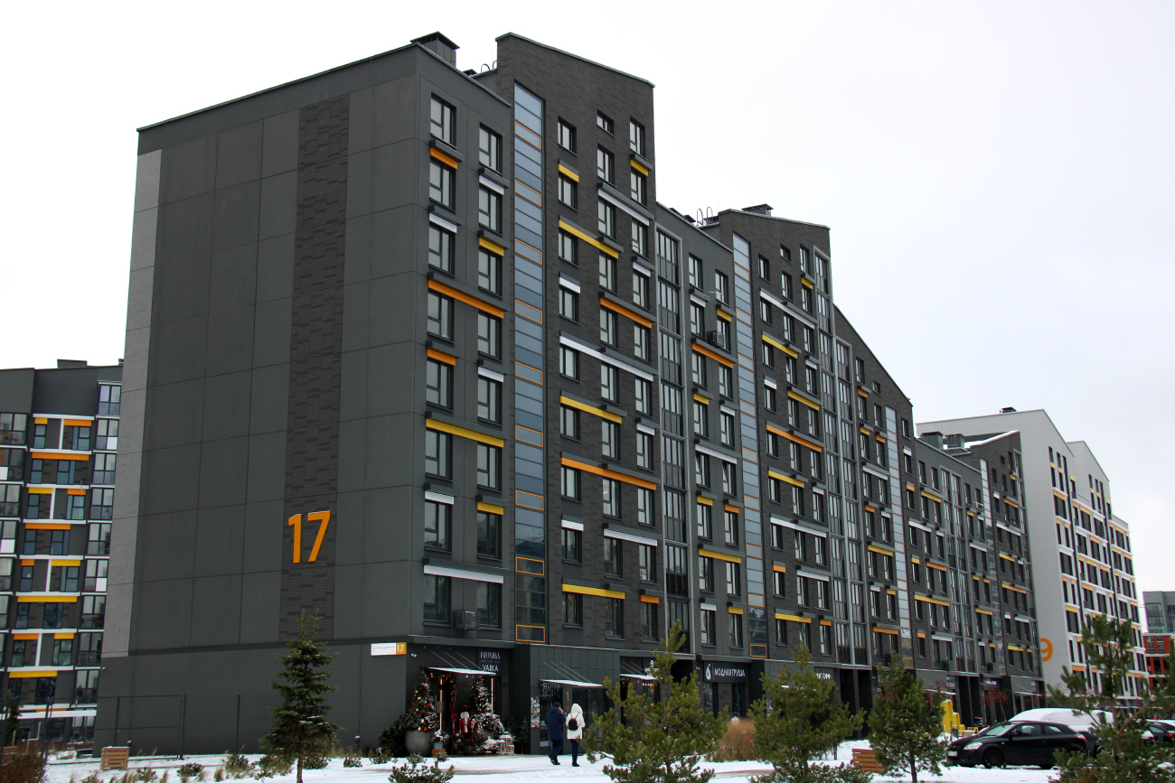 Копище, Авиационная улица, 17