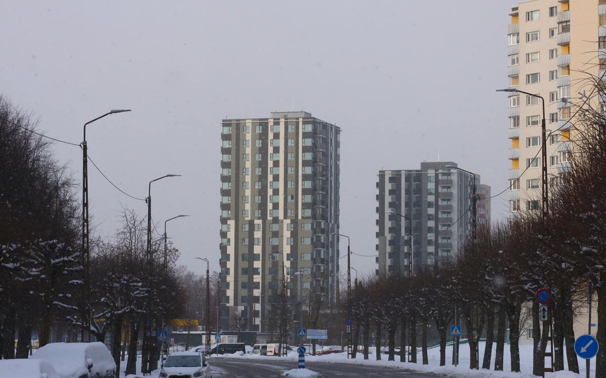 Таллин, Päevalille, 19
