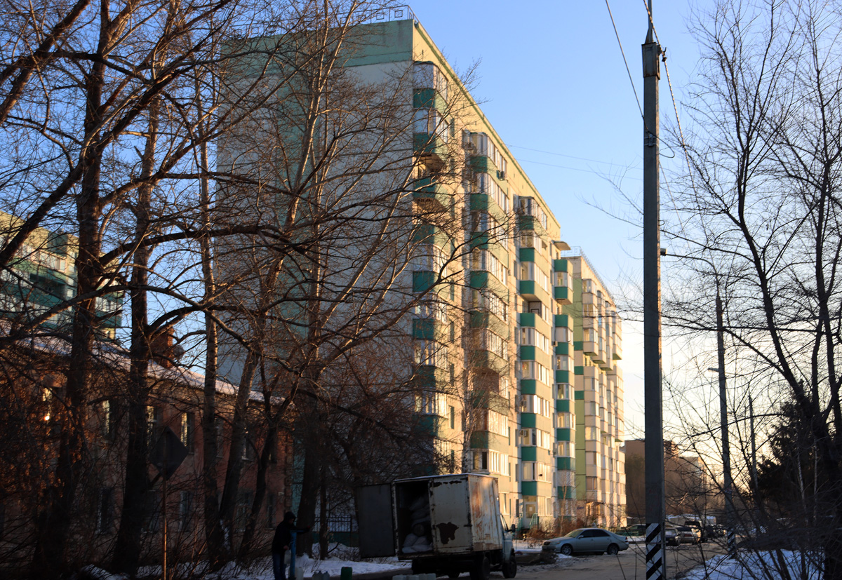 Омск, 1-я улица Челюскинцев, 98