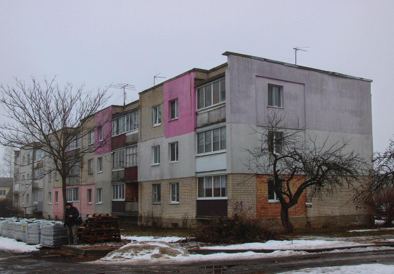 Большевик, Южная улица, 21