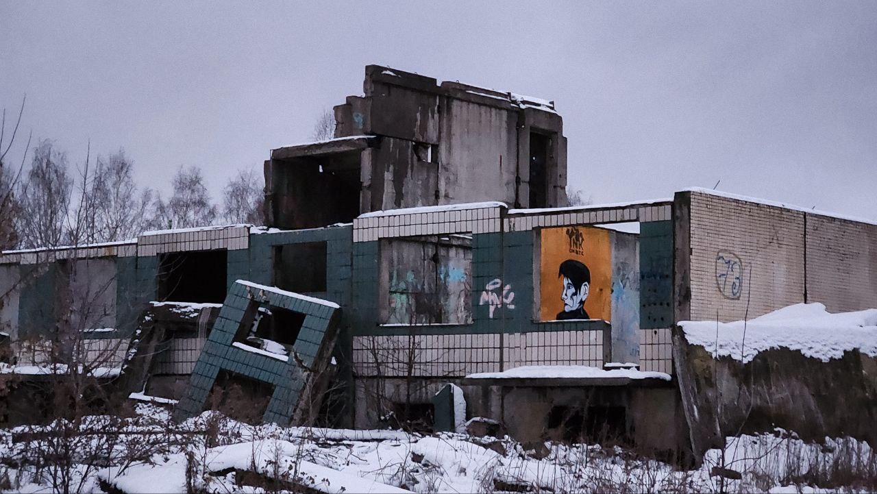Dmitrovsky Municipal district, other localities, дер. Целеево