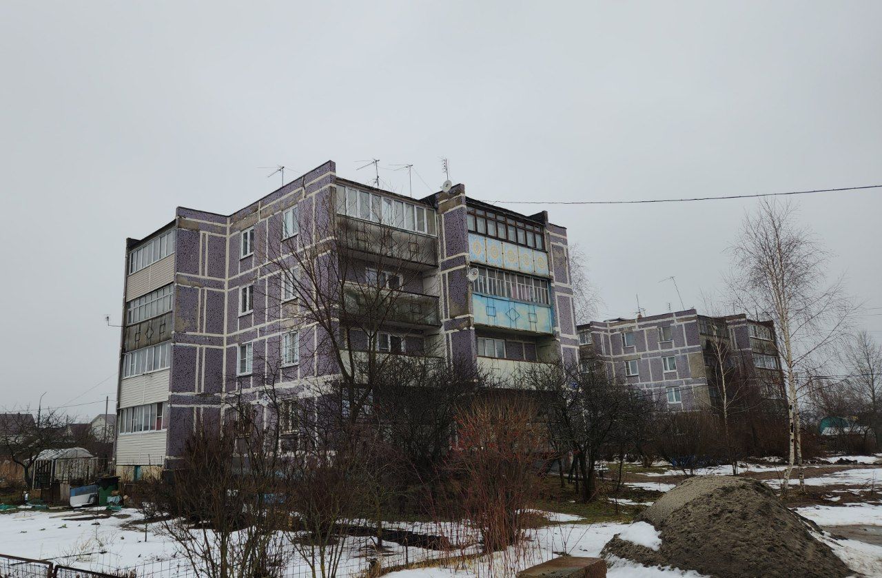 Богородский городской округ, прочие н.п., дер. Большое Буньково, Демонстрационная улица, 17; дер. Большое Буньково, Демонстрационная улица, 18