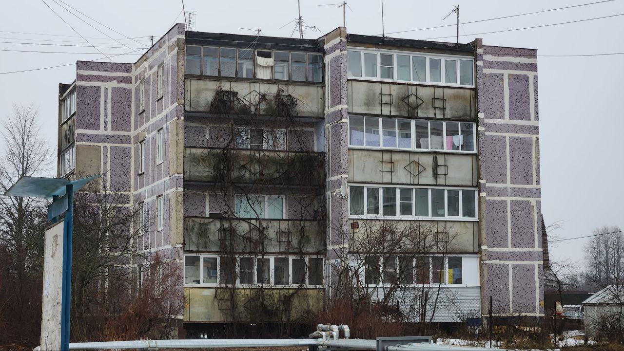 Богородский городской округ, прочие н.п., дер. Большое Буньково, Демонстрационная улица, 18