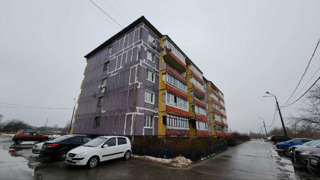 Богородский городской округ, прочие н.п., дер. Большое Буньково, Демонстрационная улица, 24