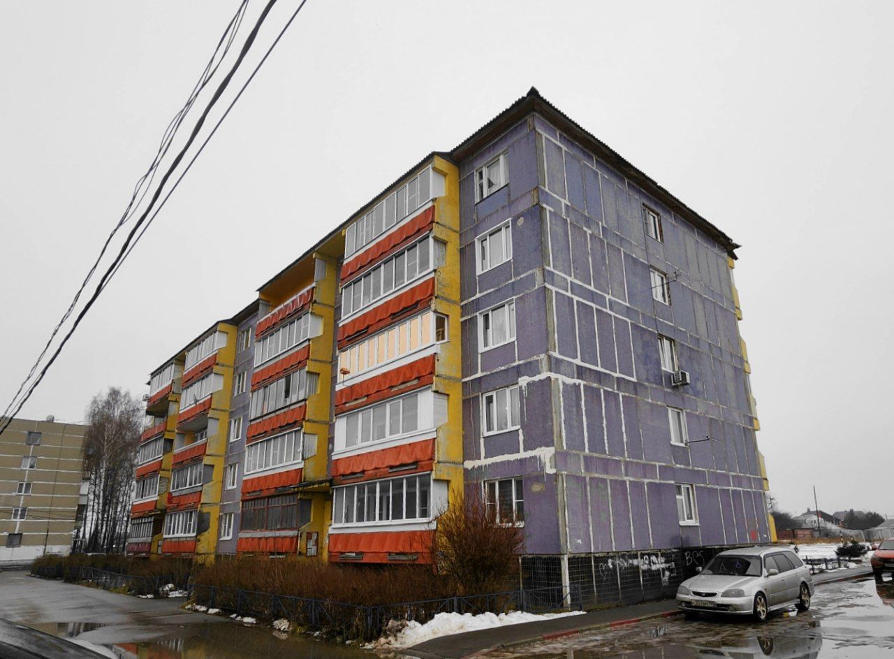 Богородский городской округ, прочие н.п., дер. Большое Буньково, Демонстрационная улица, 24