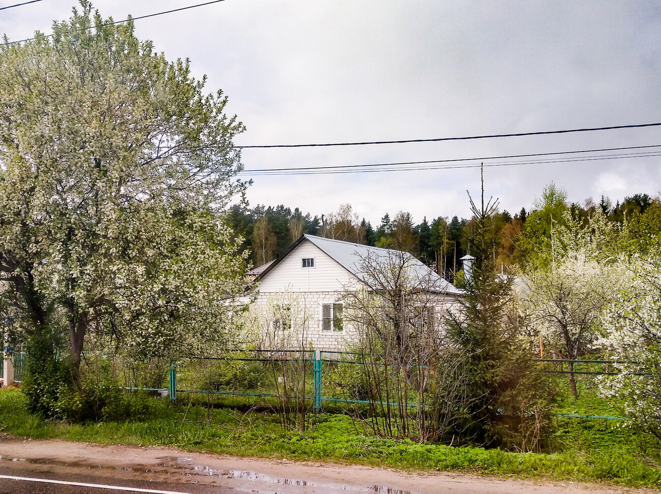 Богородский городской округ, прочие н.п., дер. Горки, 27