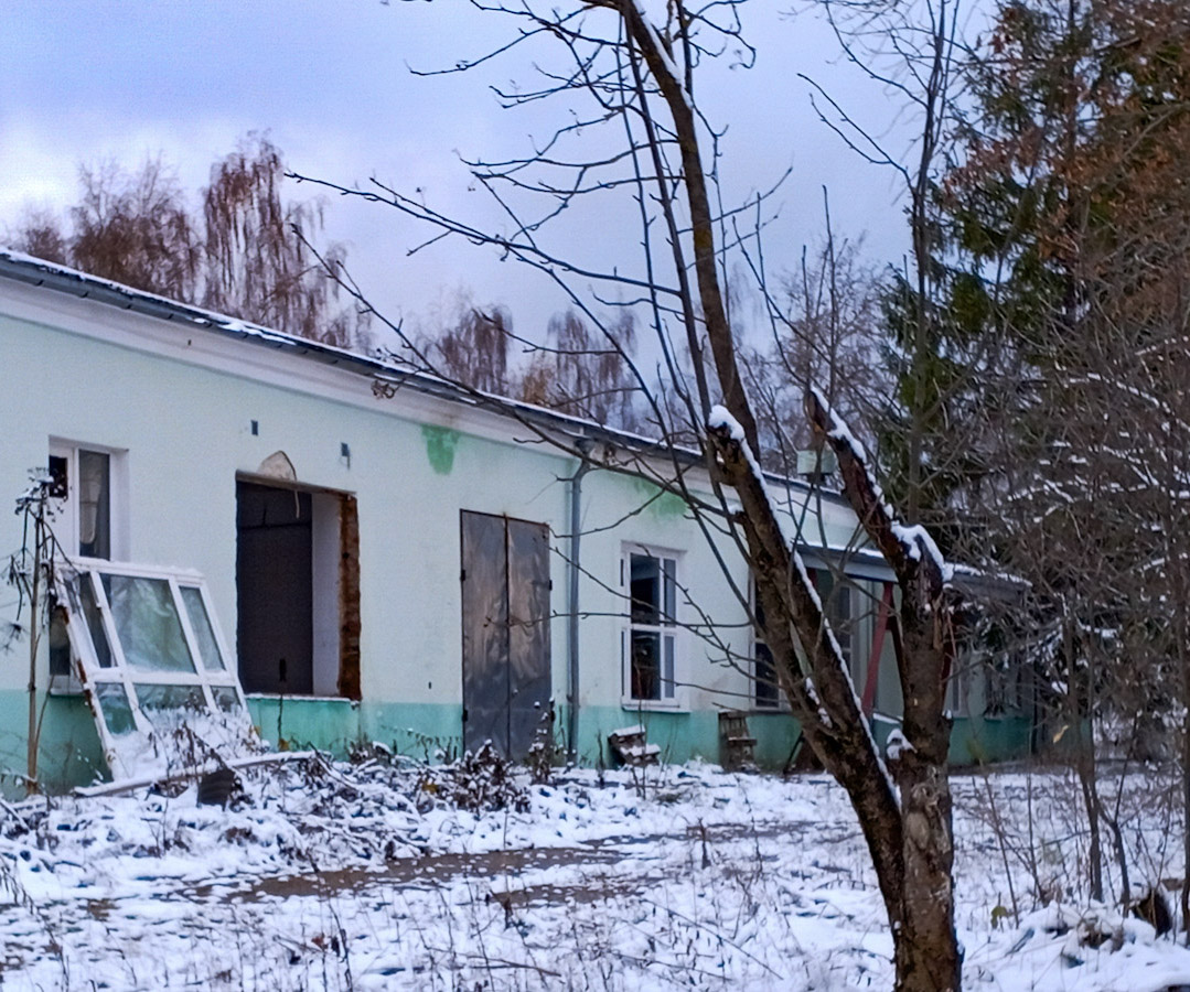 Поселение Воскресенское, Дер. Каракашево, 39 стр. 1