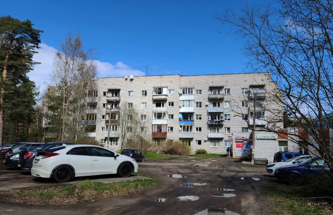 Ломоносовский район, прочие н. п., Лебяжье, улица Мира, 3