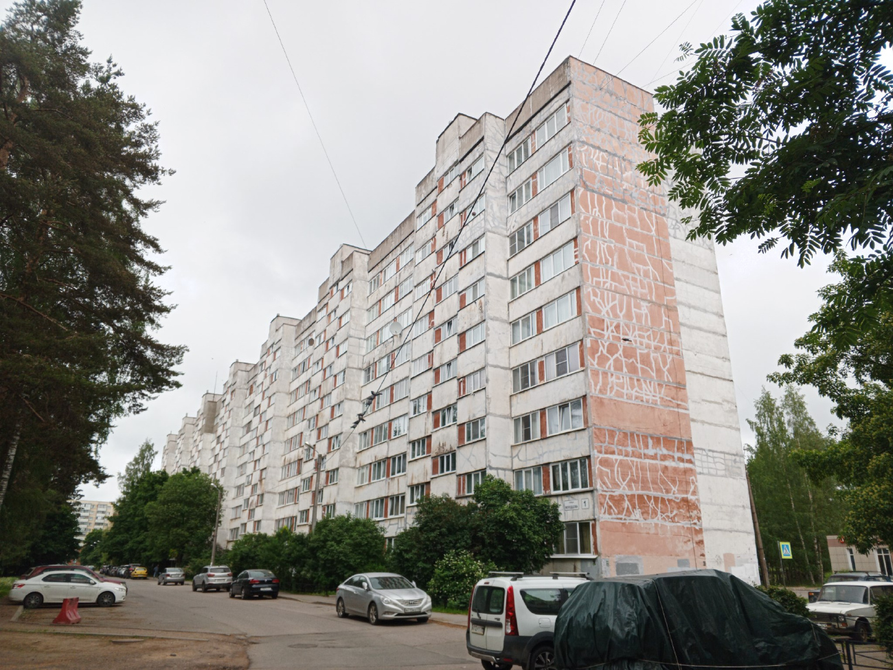 Сертолово, Улица Молодцова, 1