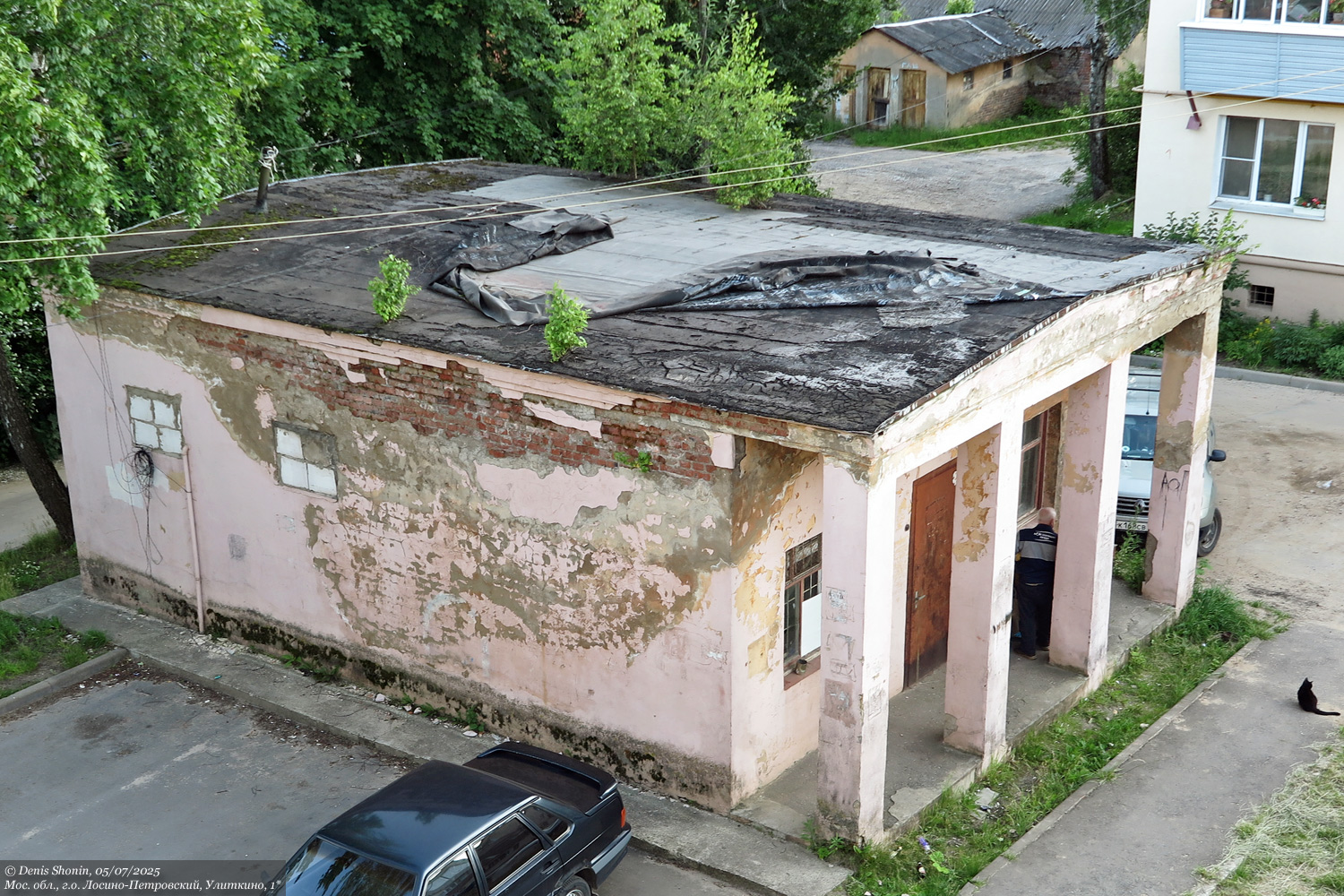 Городской округ Лосино-Петровский, прочие н.п., дер. Улиткино, 1*