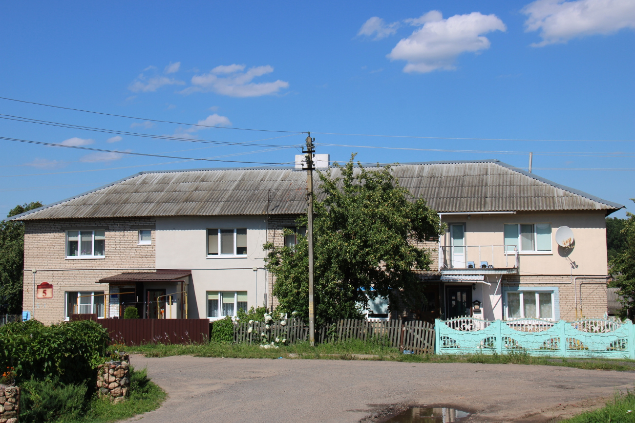 Минский район, прочие н. п., Вишнёвка, Восточная улица, 5