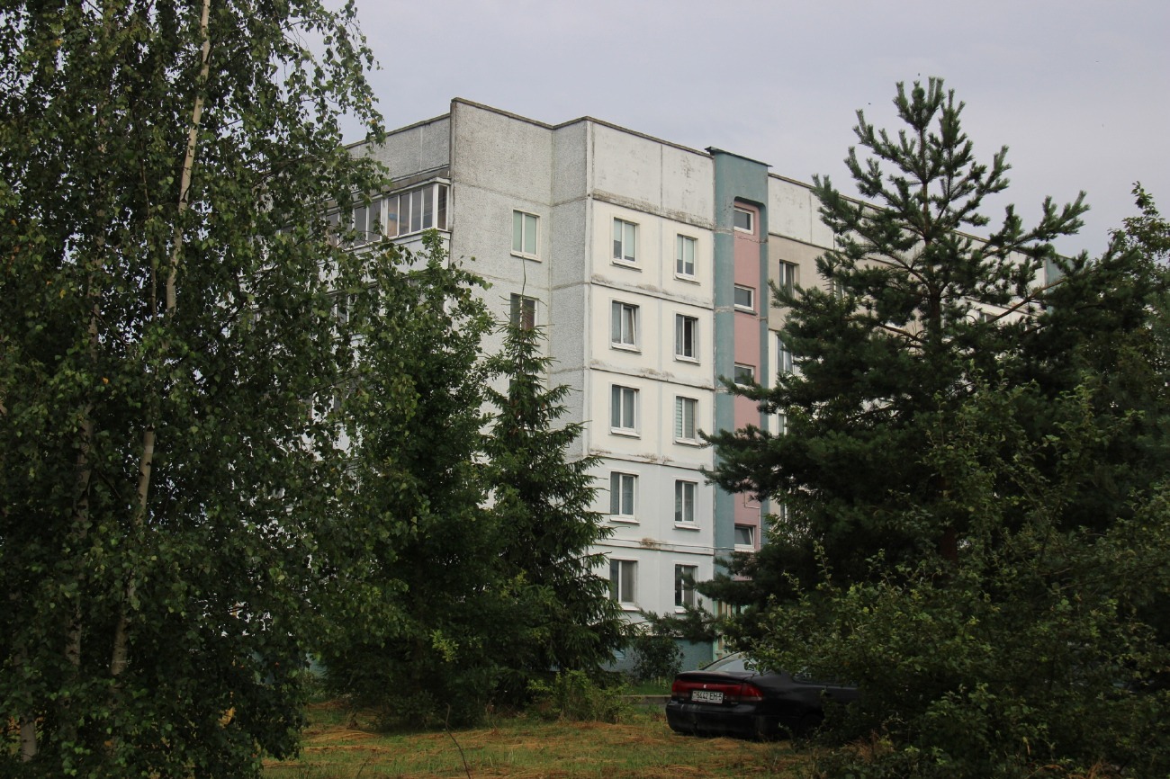 Заречье, Зареченская улица, 43