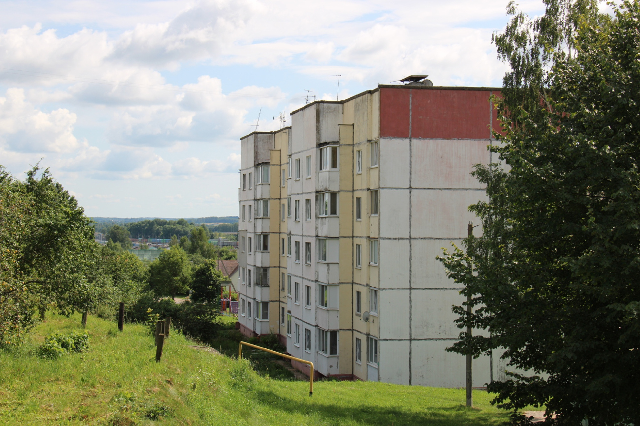 Минский район, прочие н. п., Петришки, Улица Гагарина, 9