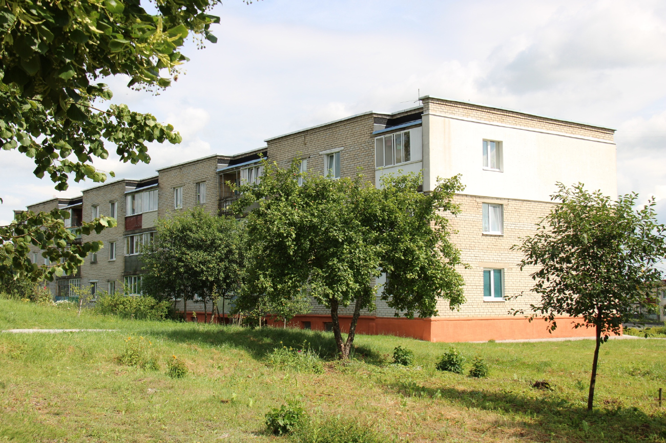 Петришки, Улица Гагарина, 5