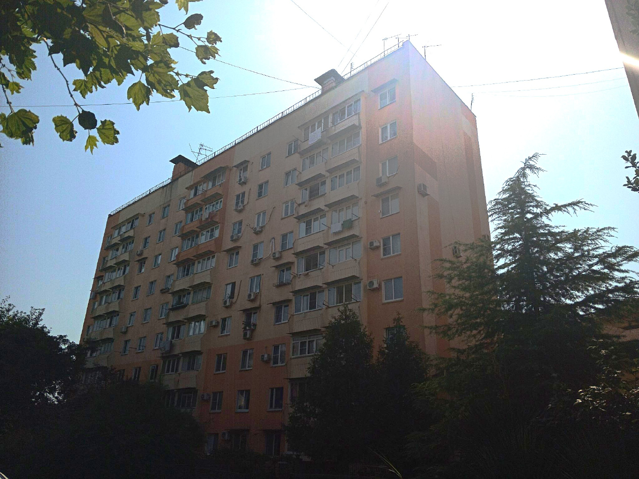 Большой Сочи, Адлер, Улица Ленина, 250