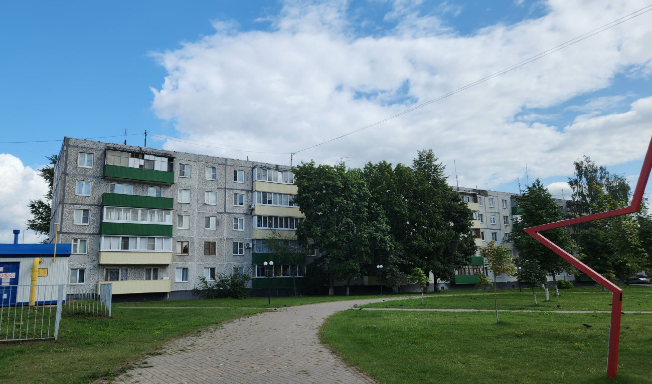 Электрогорск, Улица Горького, 3