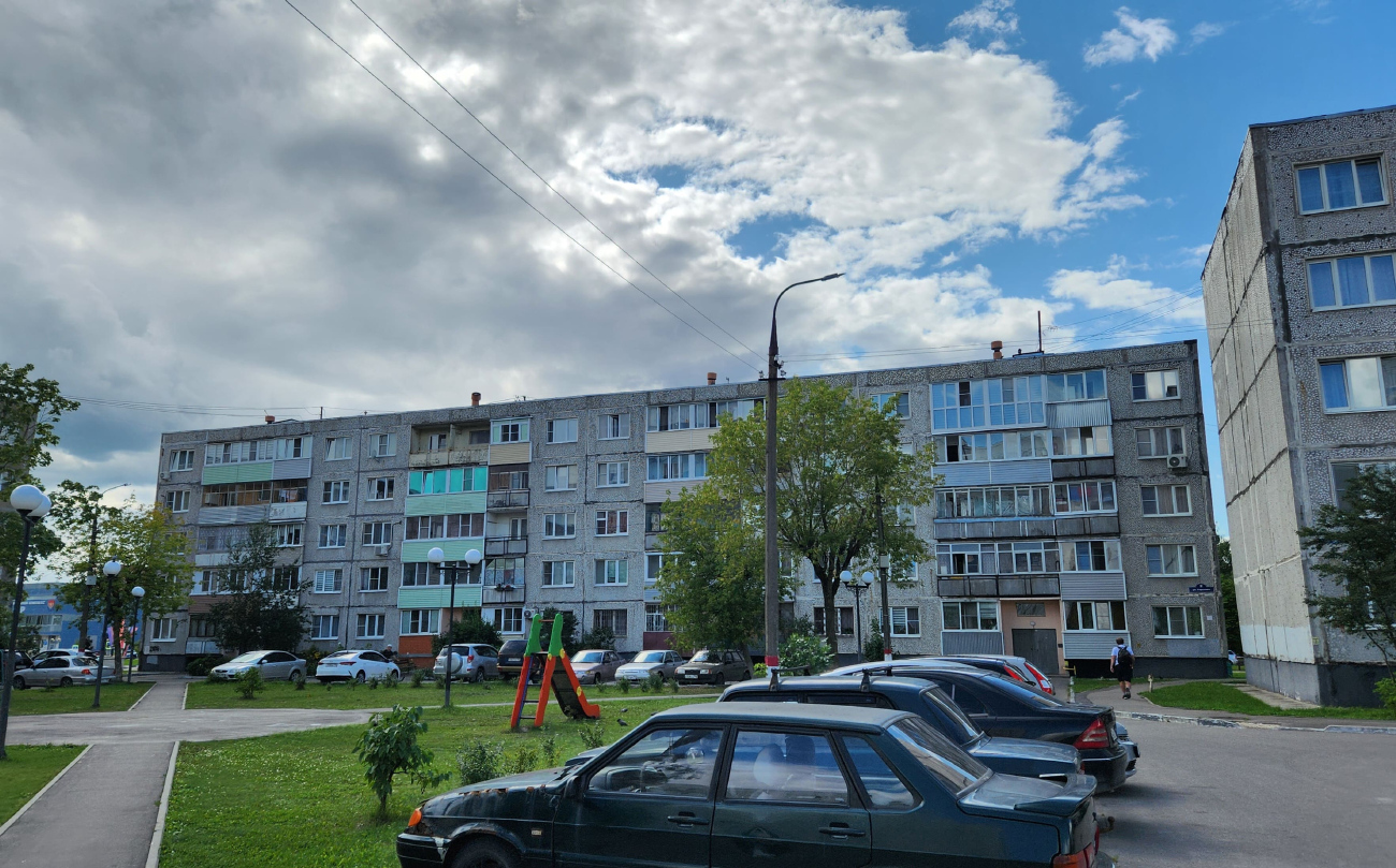 Электрогорск, Улица Горького, 2