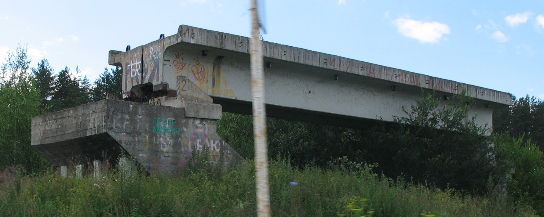 Кинешма, Заволжская улица, путепровод