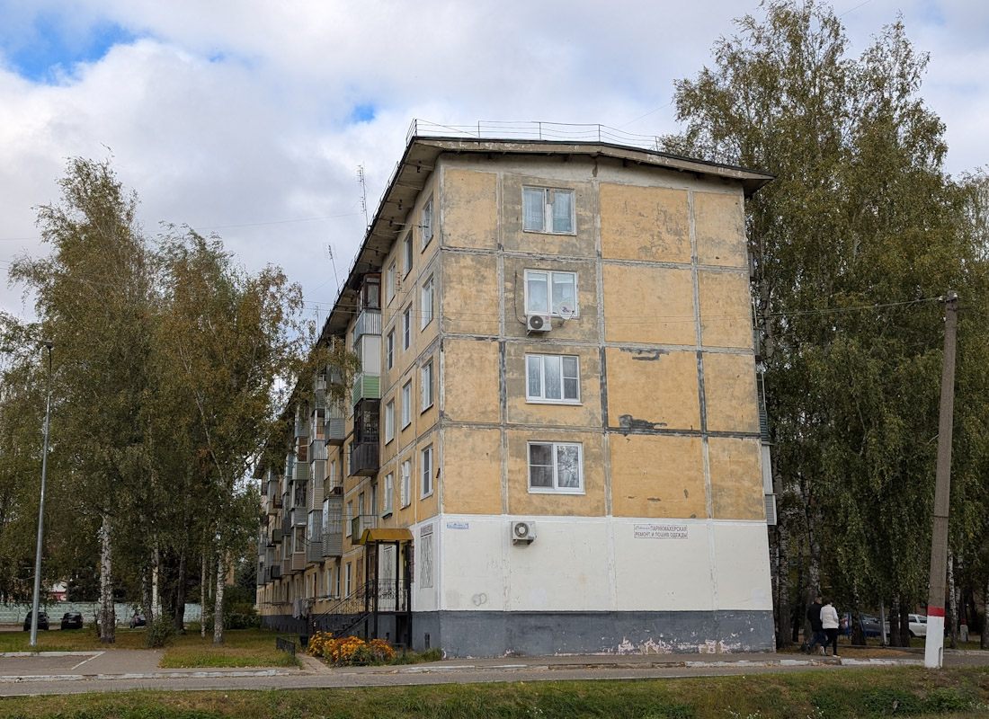 Электрогорск, Советская улица, 25