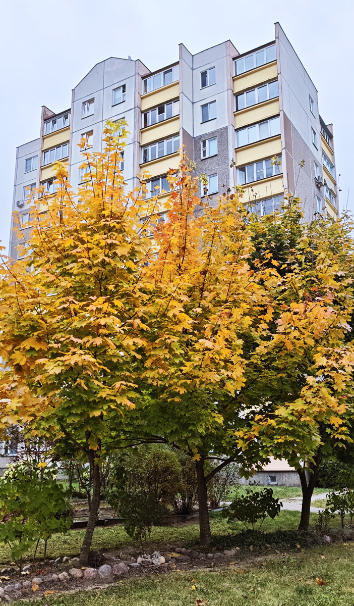 Минск, Улица Якубовского, 74