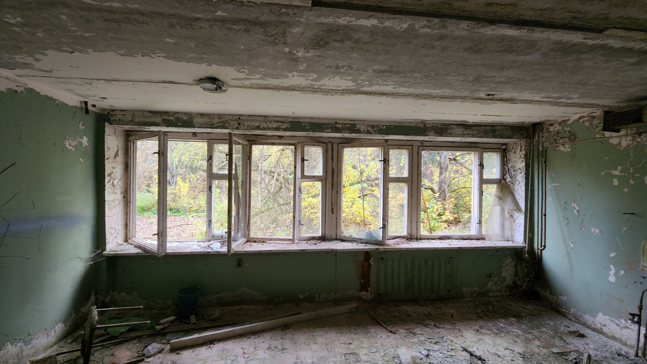 Дмитровский муниципальный округ, прочие н.п., дер. Горки, 8*