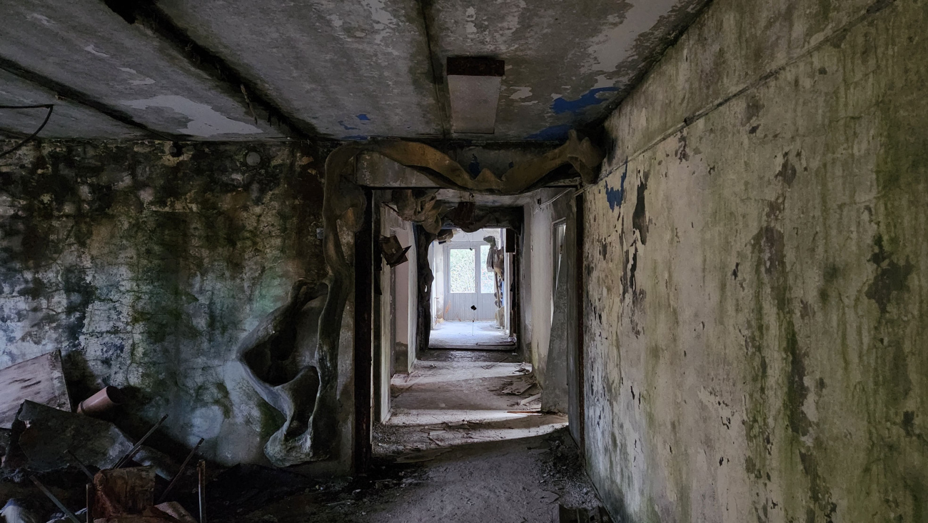 Дмитровский муниципальный округ, прочие н.п., дер. Горки, 7*