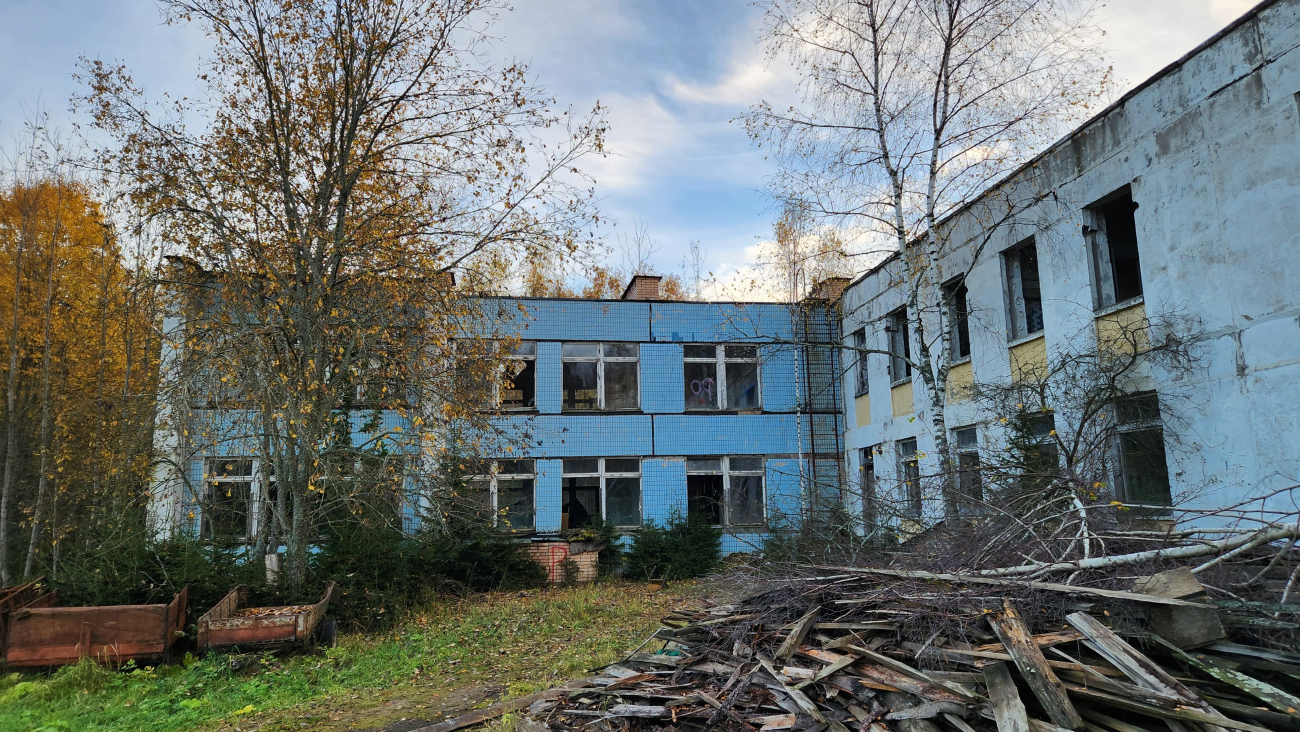 Дмитровский муниципальный округ, прочие н.п., дер. Горки, 1*