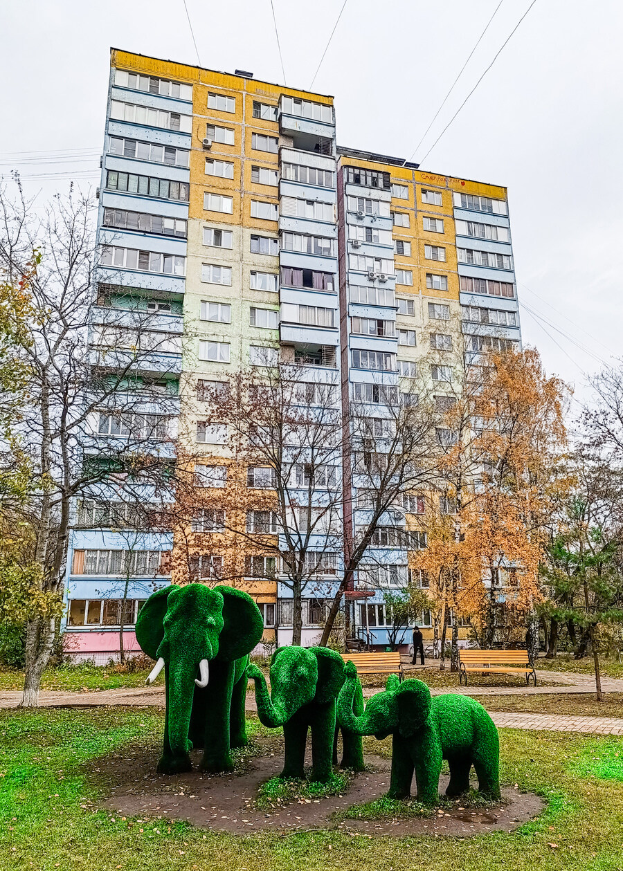 Раменское, Улица Гурьева, 19