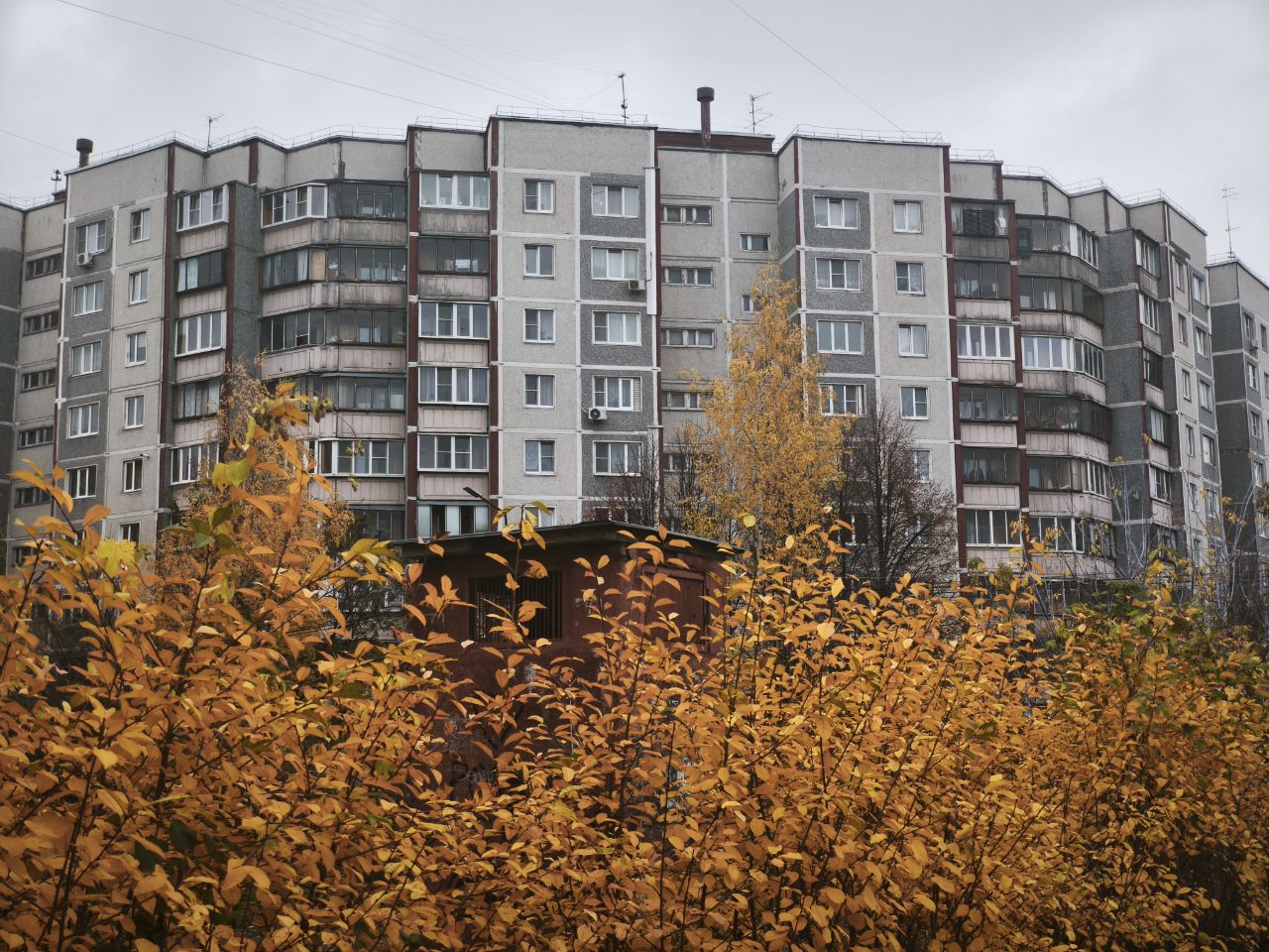 Курск, Студенческая улица, 18