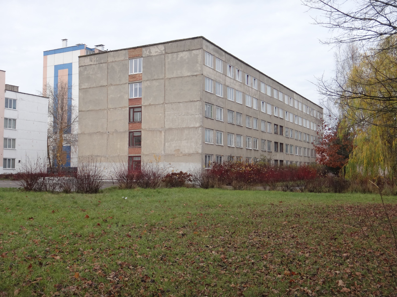 Витебск, Улица Петруся Бровки, 17А