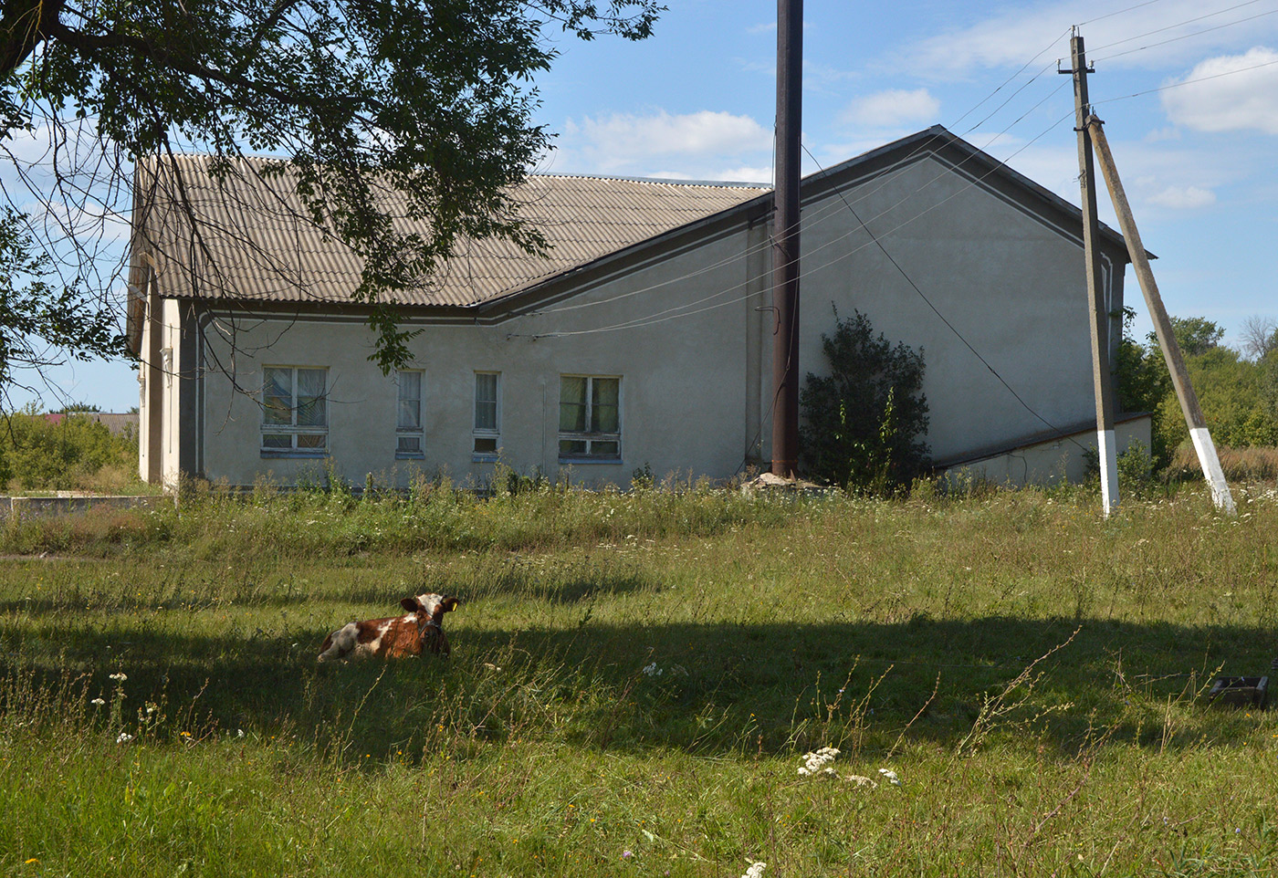 Хохольский район, прочие н.п., С. Староникольское, Улица Веры Чуркиной, 1