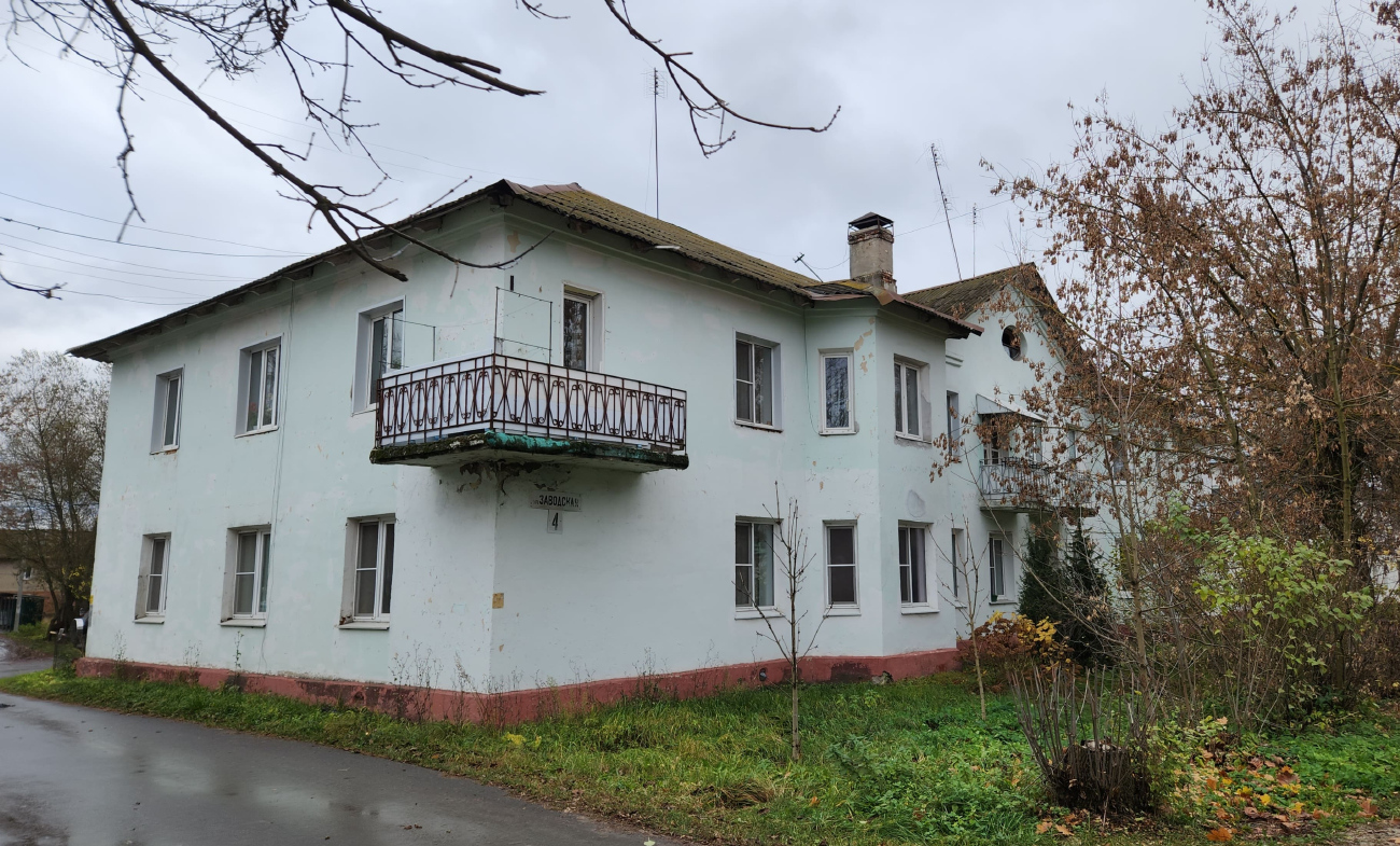 Орехово-Зуевский городской округ, прочие н.п., дер. Демихово, Заводская улица, 4