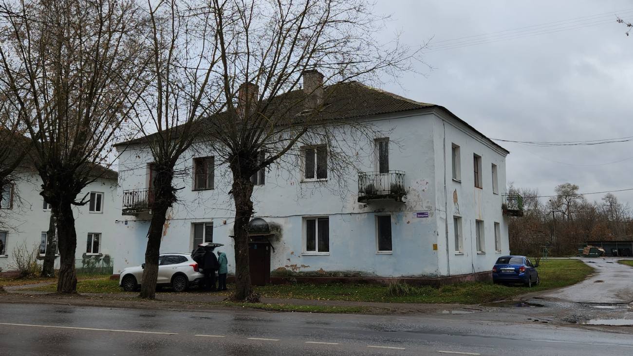 Орехово-Зуевский городской округ, прочие н.п., дер. Демихово, Заводская улица, 11