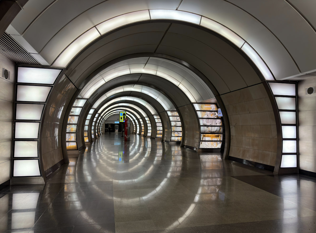 Масква, Люблинско-Дмитровская линия Московского Метрополитена, станция метро «Фонвизинская»