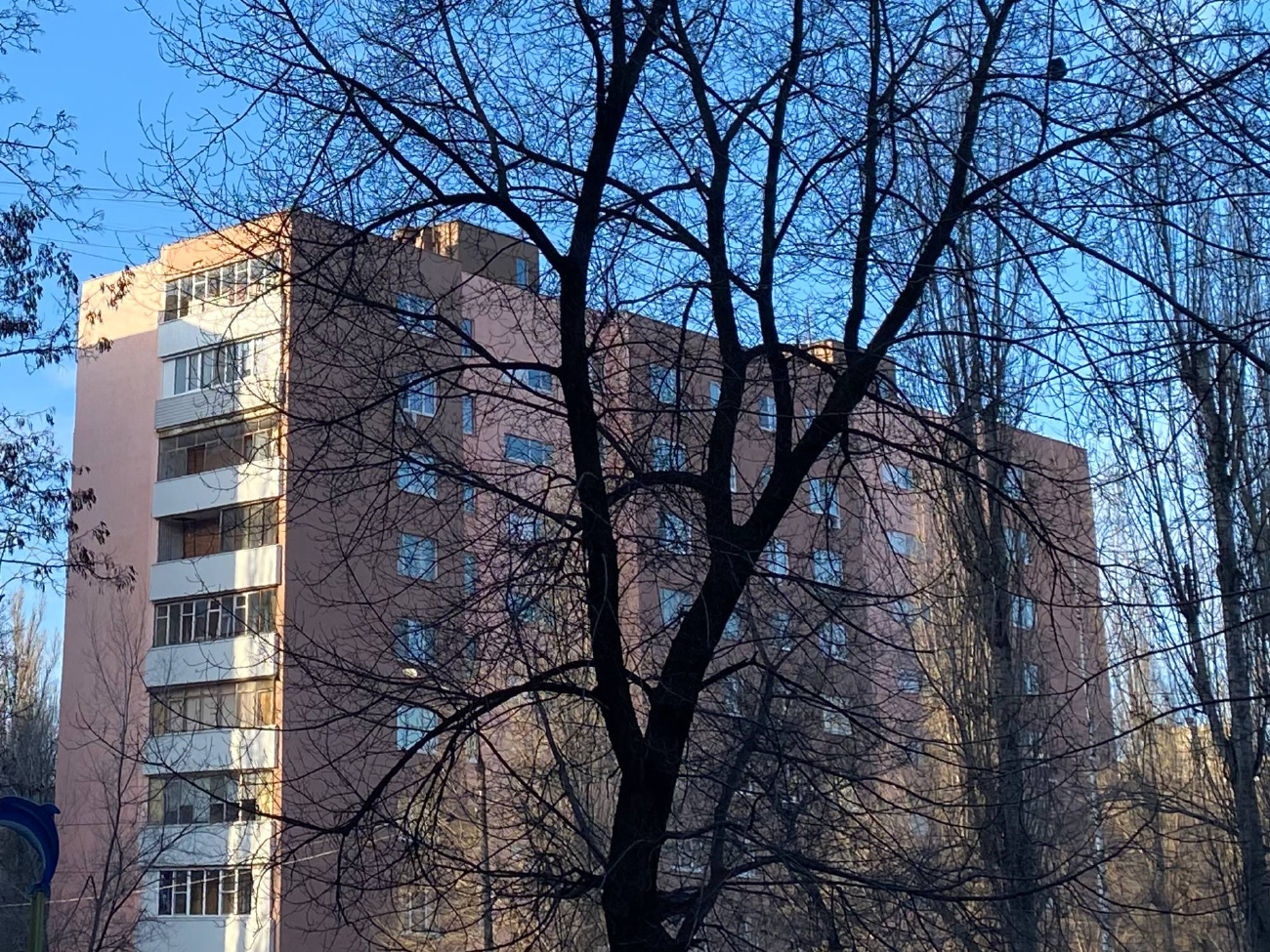 Воронеж, Улица 25 Января, 20А