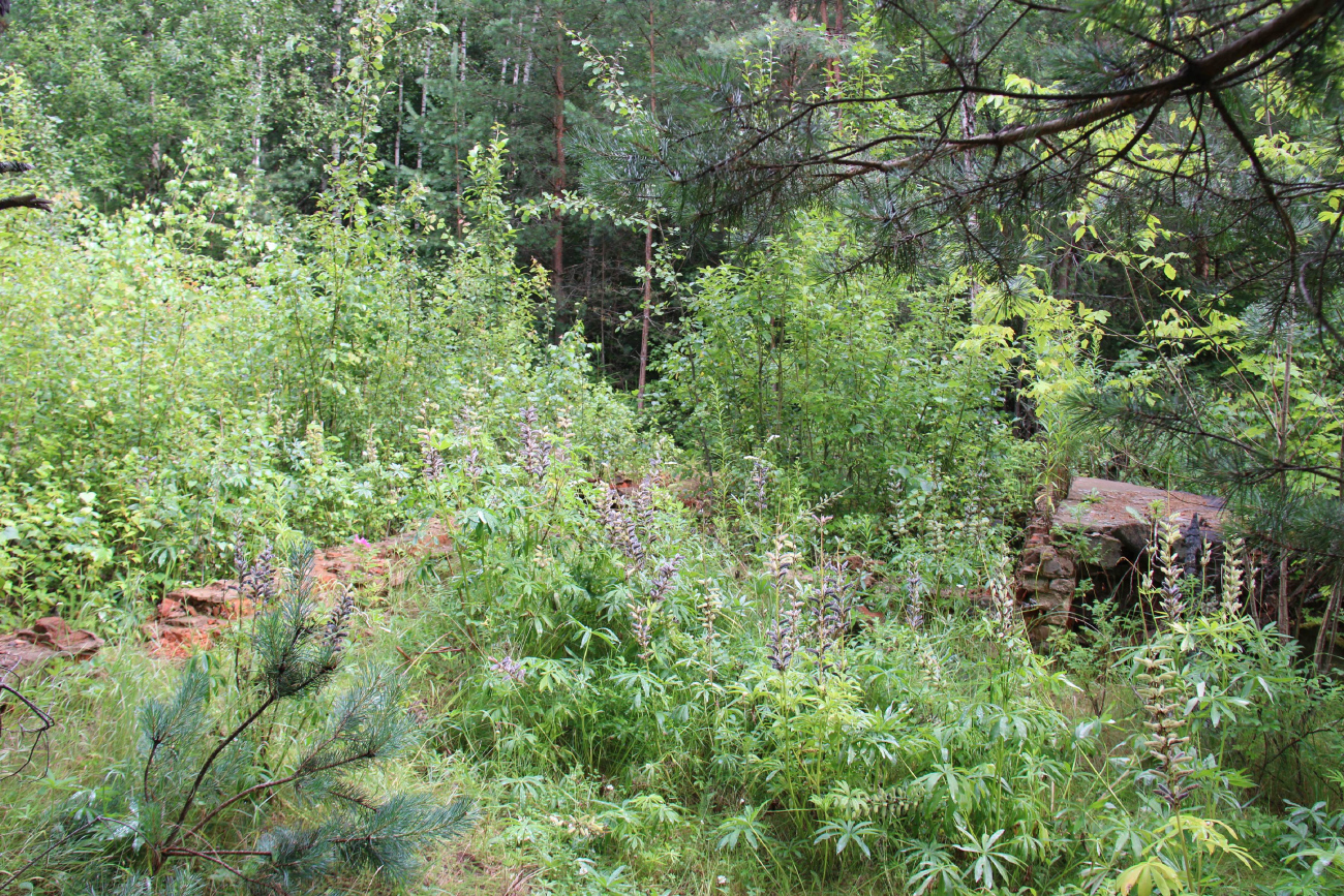 Минский район, прочие н. п., Ждановичский сельсовет, *