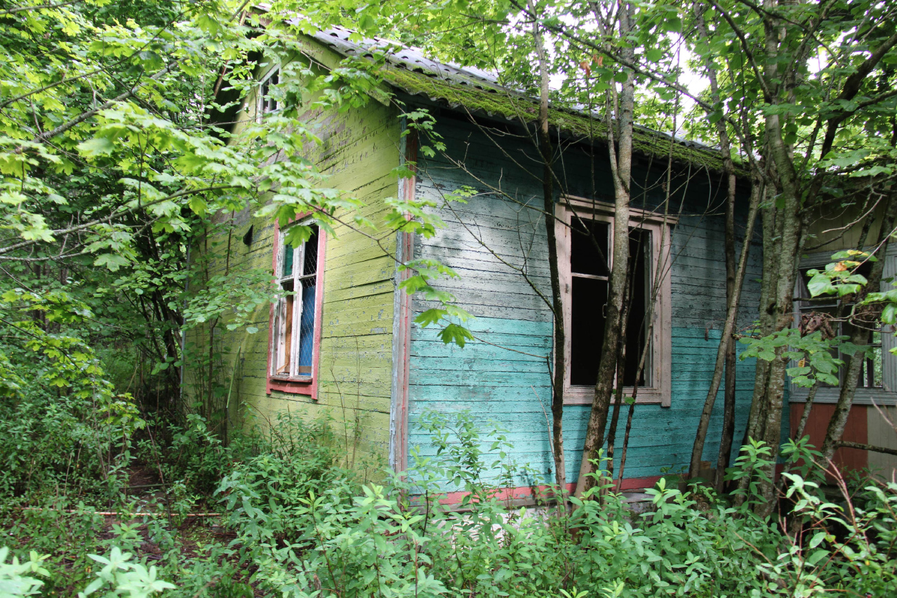 Минский район, прочие н. п., Ждановичский сельсовет, *