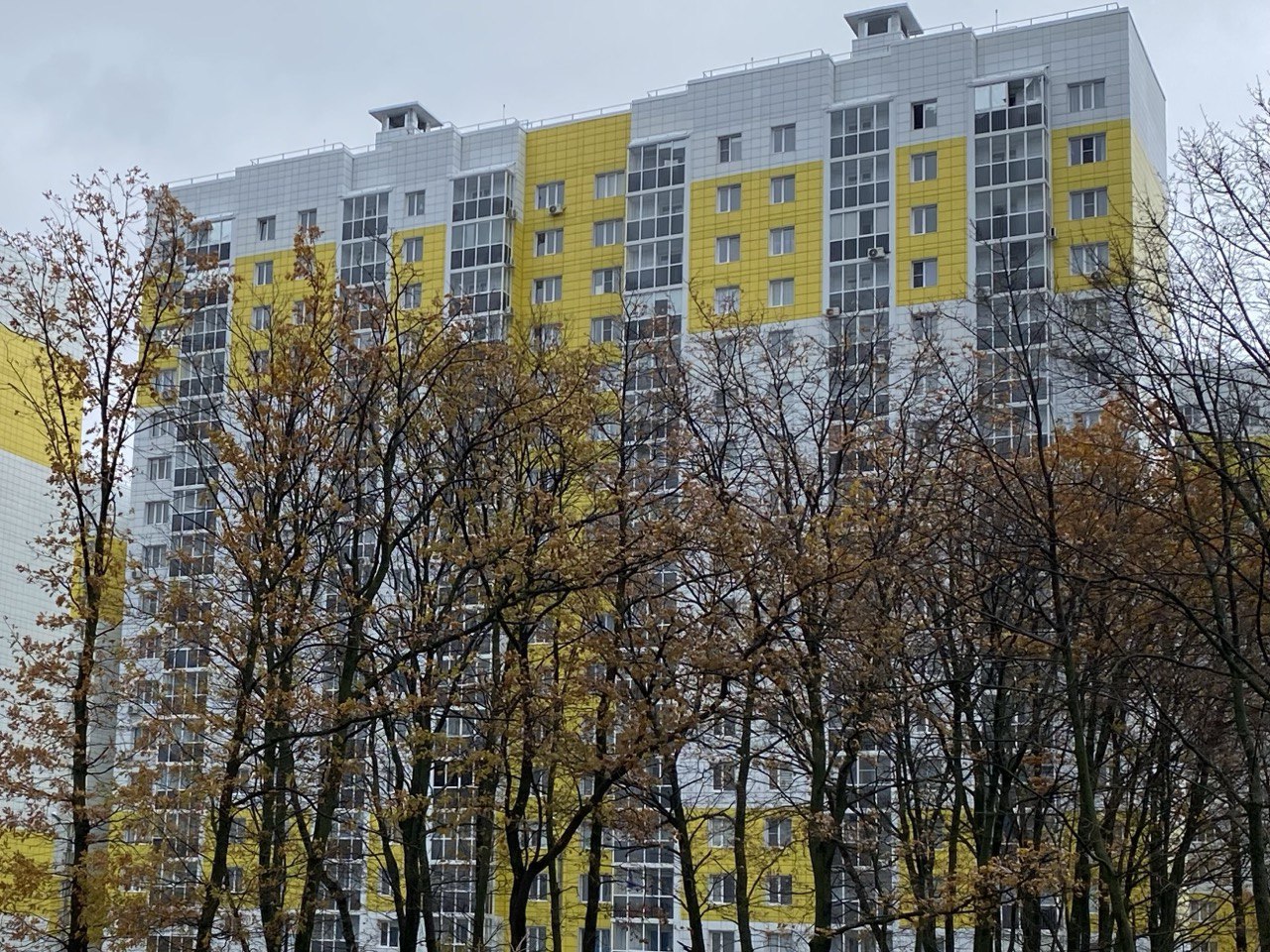 Воронеж, Улица Шидловского, 15