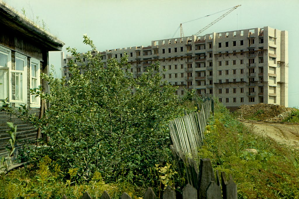 Пикалёво, Улица Металлургов, 5