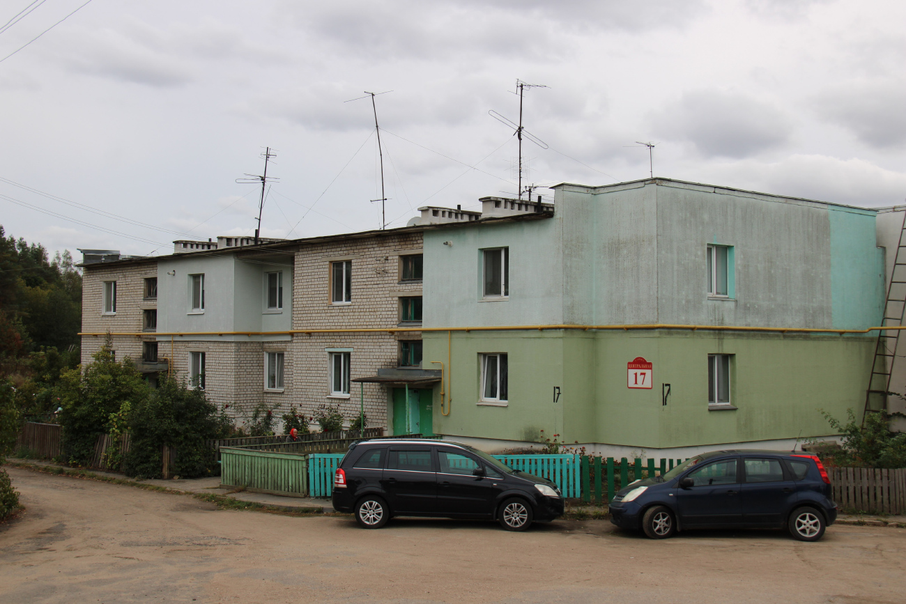 Новый Двор, Центральная улица, 17