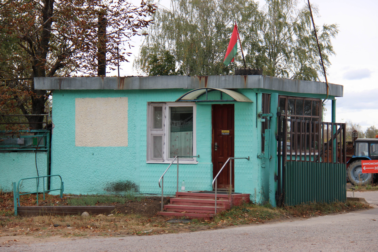 Новый Двор, Парковая улица, 10**