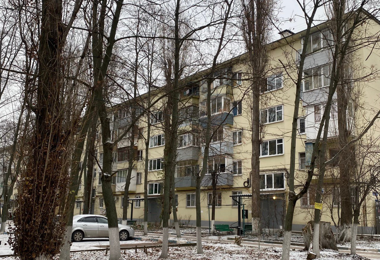 Woronesch, Ленинский проспект, 163