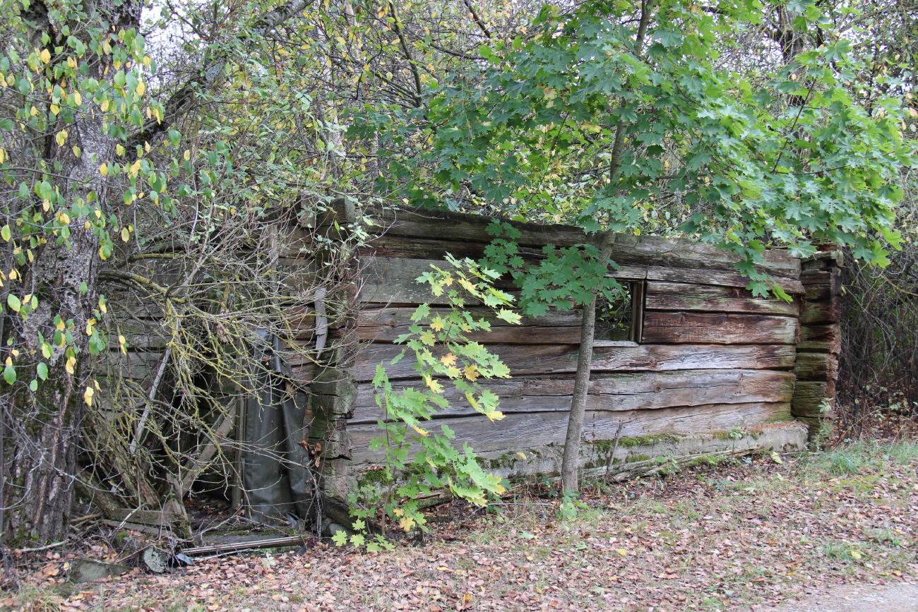 Минский район, прочие н. п., Шабаны, *