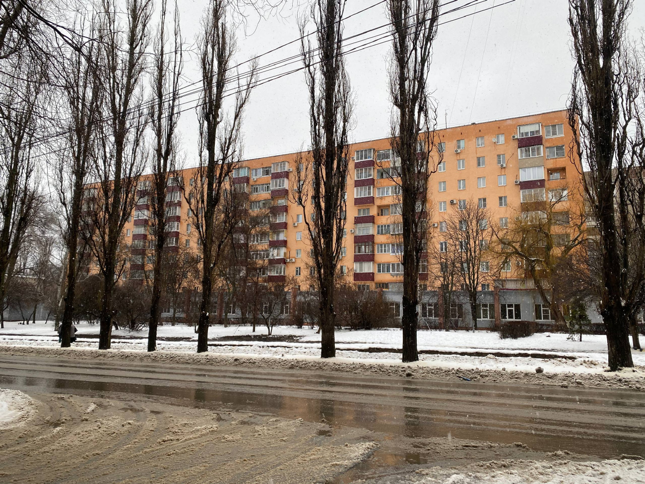 Воронеж, Улица Зои Космодемьянской, 19