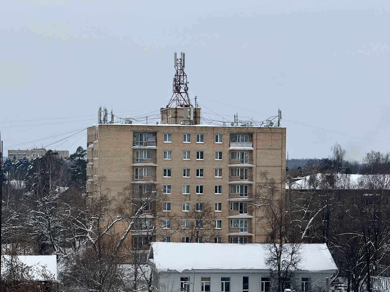 Пушкино, Лесная улица, 5
