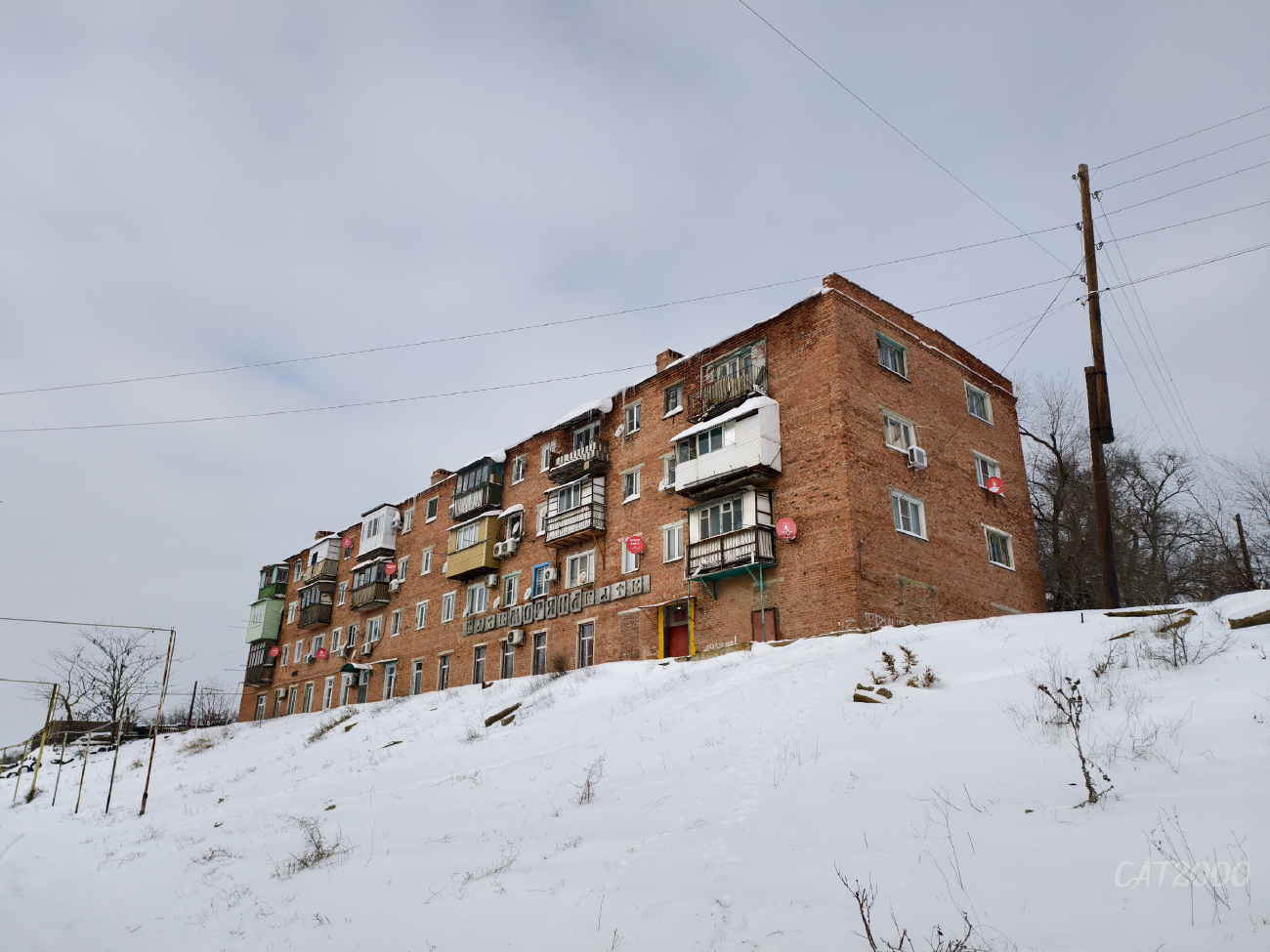 Oranzherei, Улица Урицкого, 55