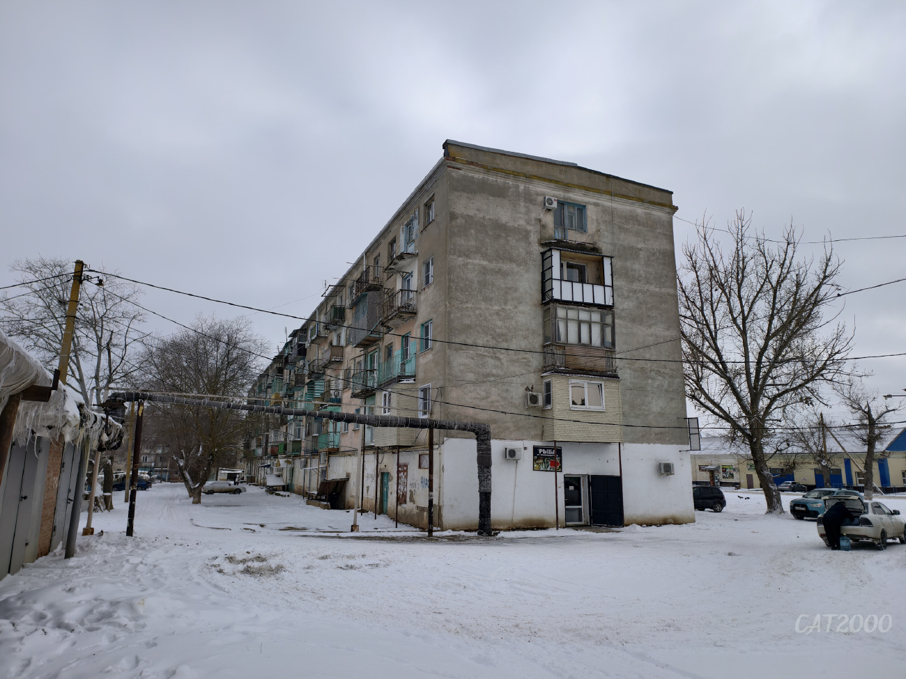 Оранжереи, Улица Кирова, 5