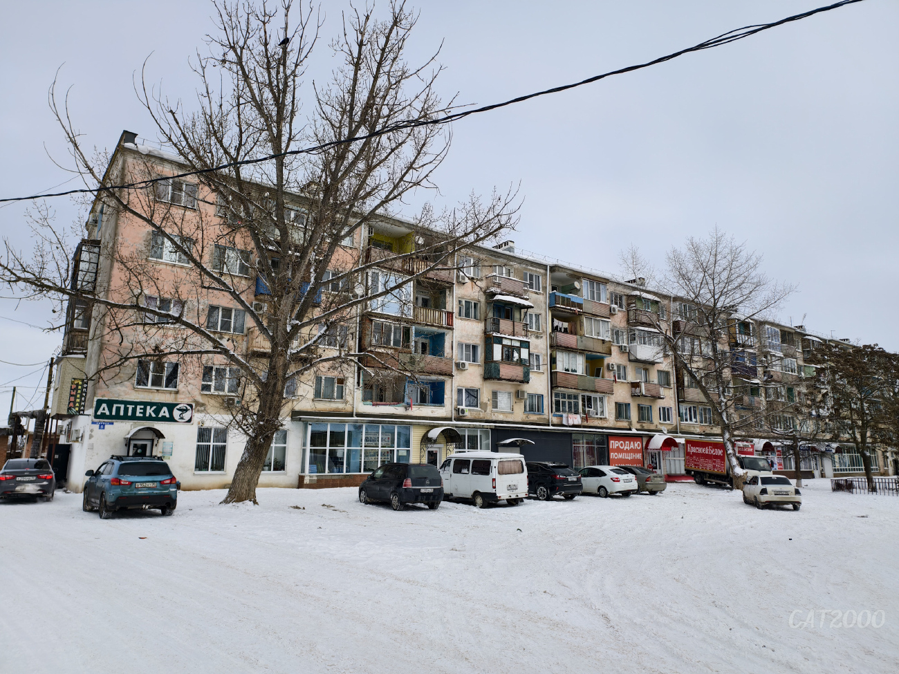 Оранжереи, Улица Кирова, 5