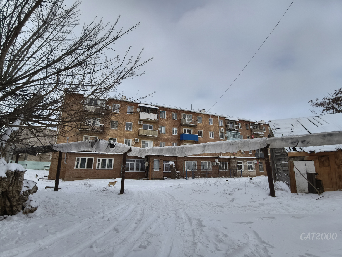 Oranzherei, Аптечная улица, 19