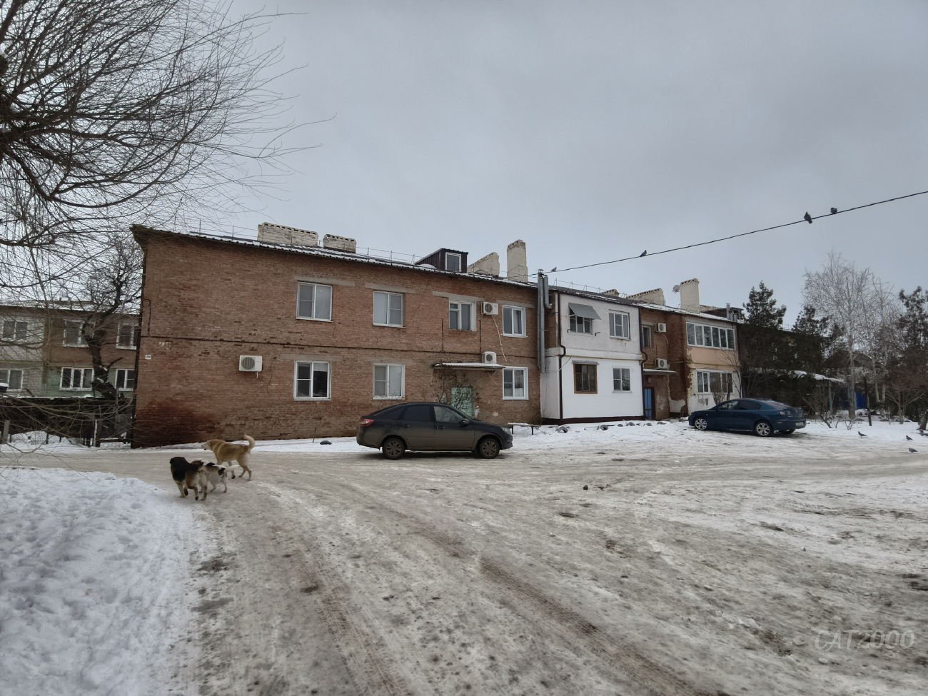 Красный Яр, Улица Ворошилова, 28